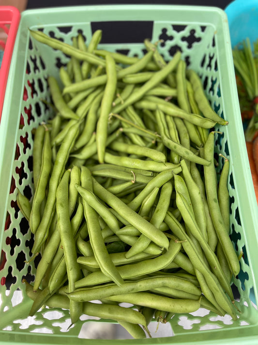 Green Beans (full quart)