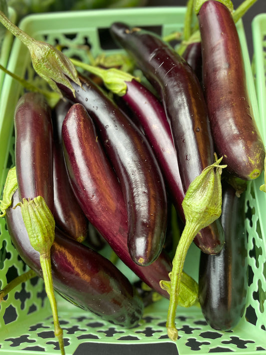 Japanese Eggplant (bag)