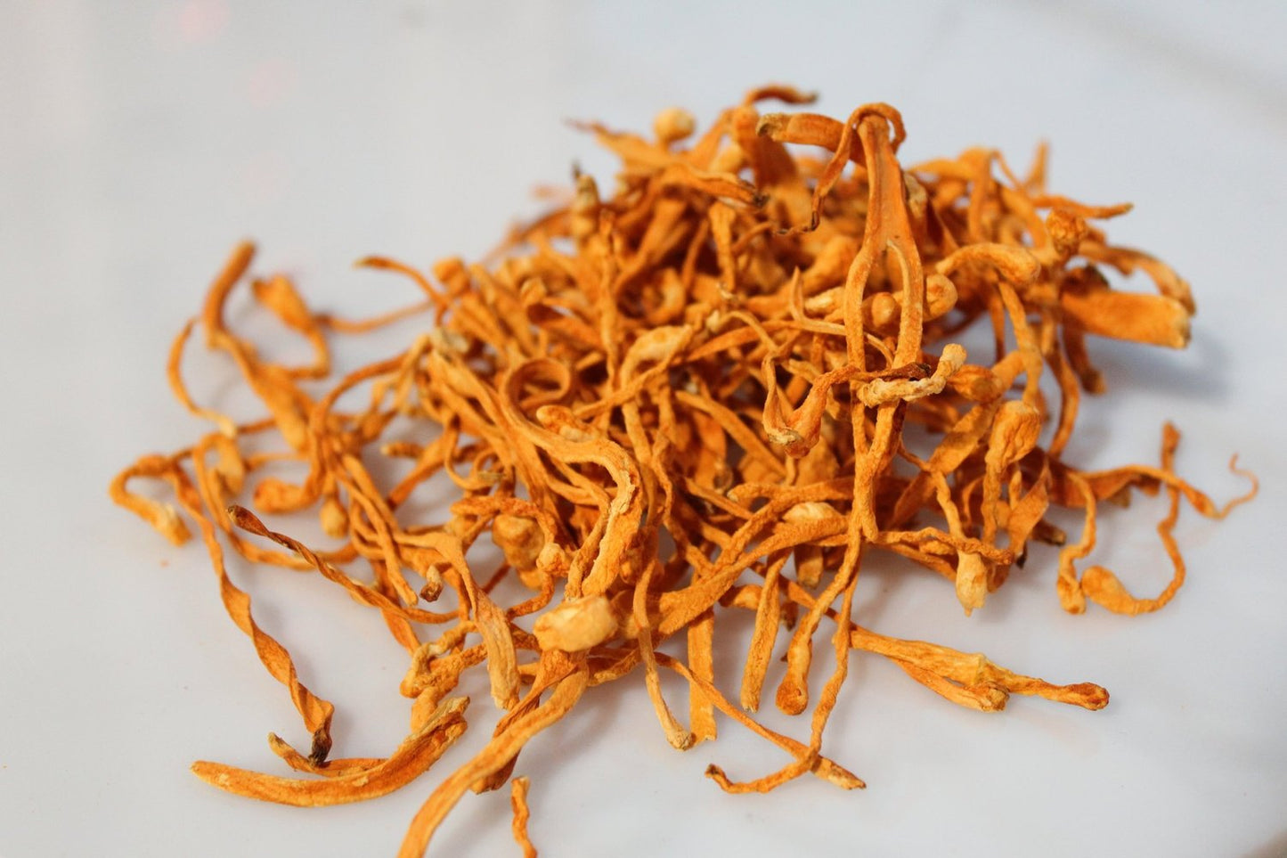 Dehydrated Cordyceps