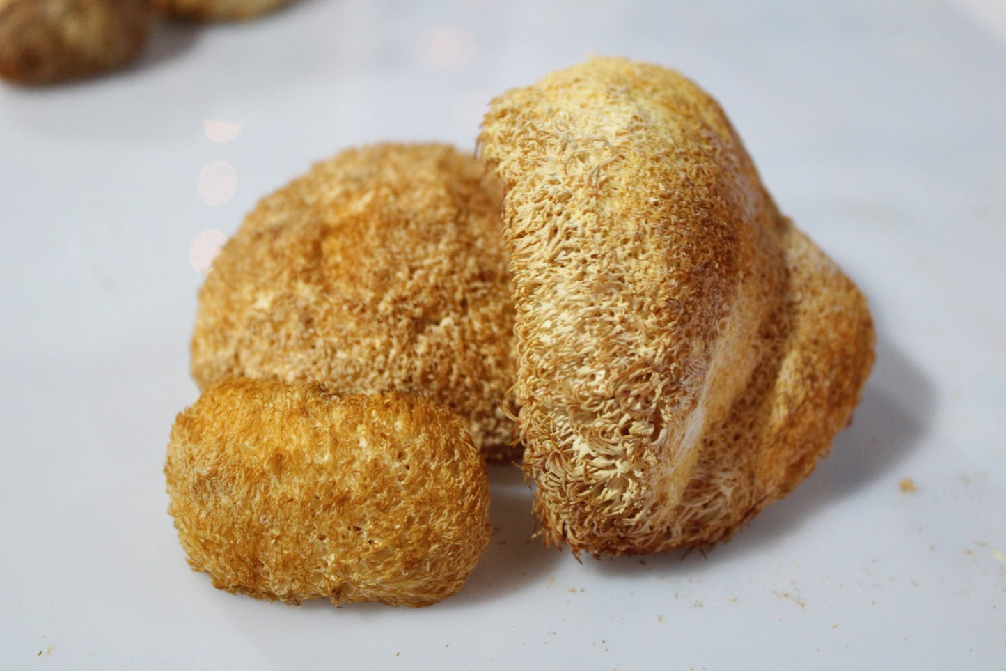 Dehydrated Lion's Mane